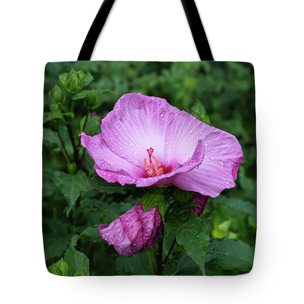 Hibiscus Rosa-sinensis Tote Bag featuring the photograph Pink Hibiscus 4-2021 by Thomas Young