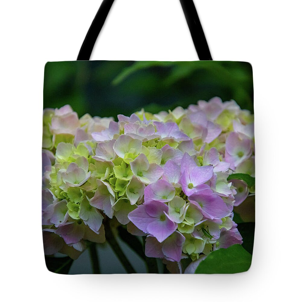 Flower Tote Bag featuring the photograph Pink Hydrangea by Matt Sexton