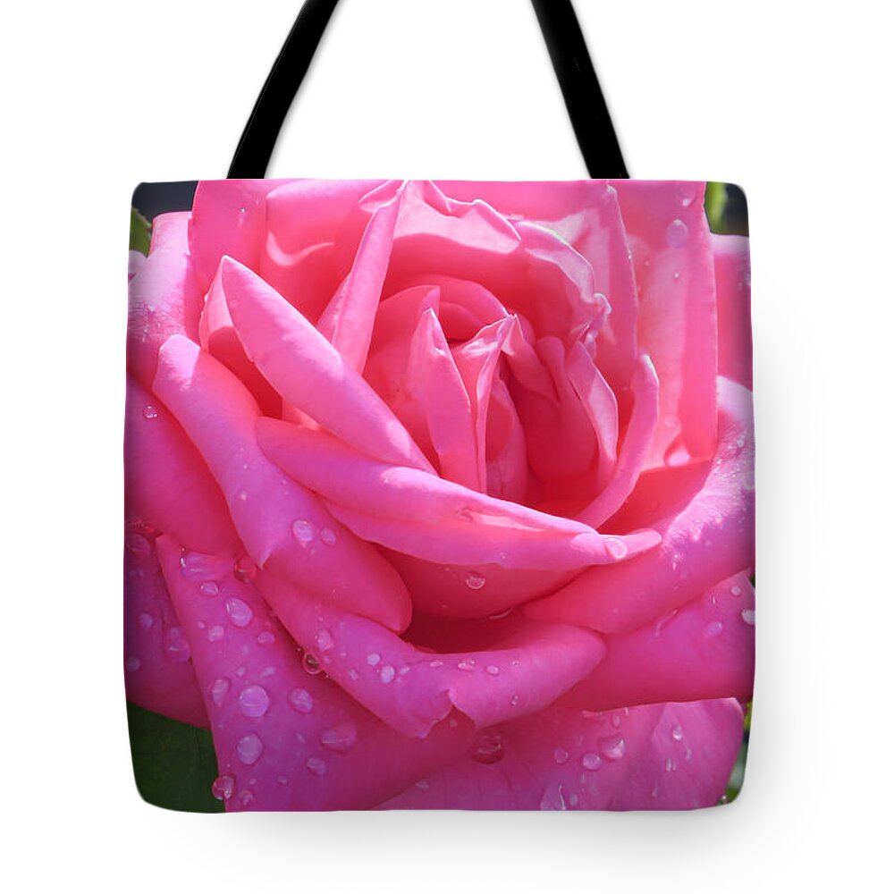 Rose Tote Bag featuring the photograph Pink in drops by Zina Stromberg