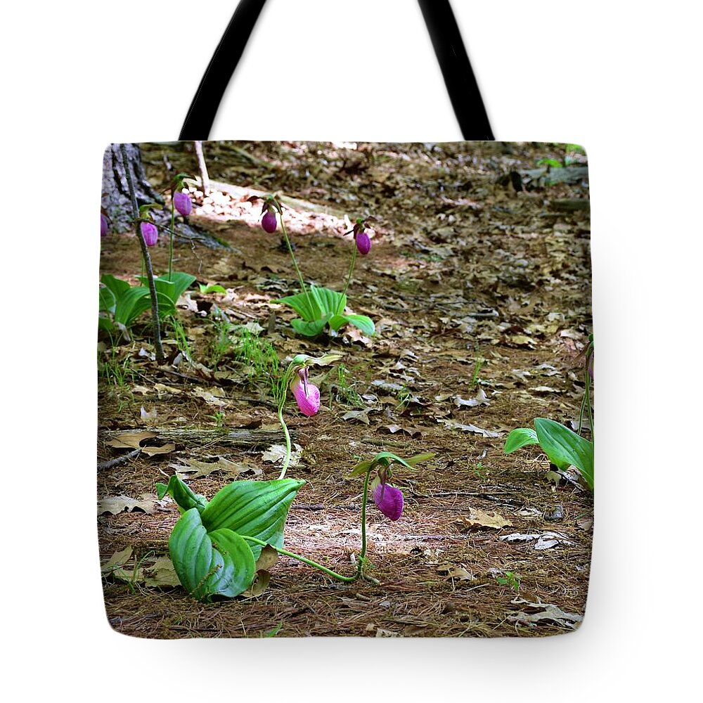 Pink Lady's Slippers Tote Bag featuring the photograph Pink lady's slippers by Monika Salvan