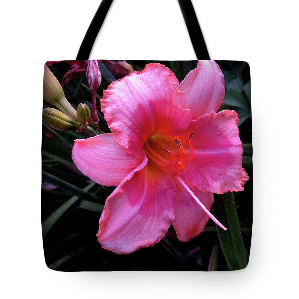 Flowers Tote Bag featuring the photograph Pink Lilly by Linda Stern