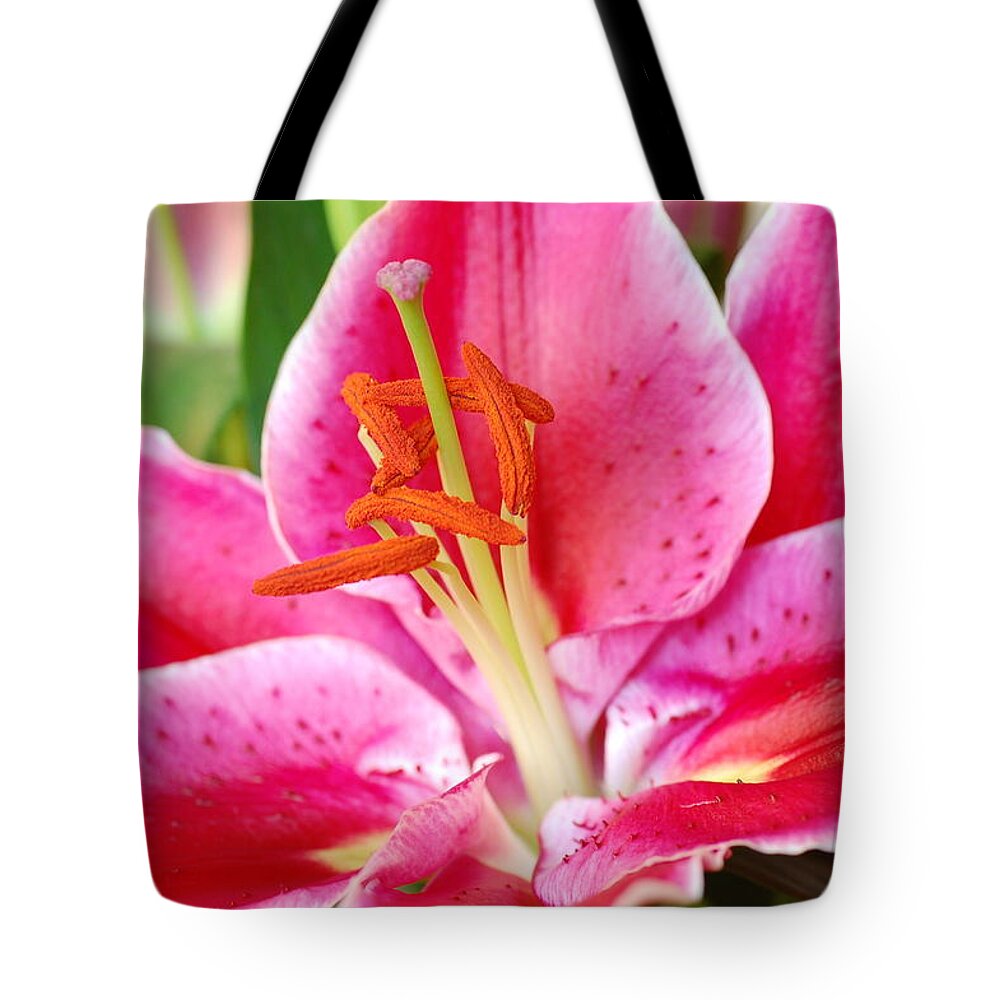 Lily Tote Bag featuring the photograph Pink Lily 3 by Amy Fose