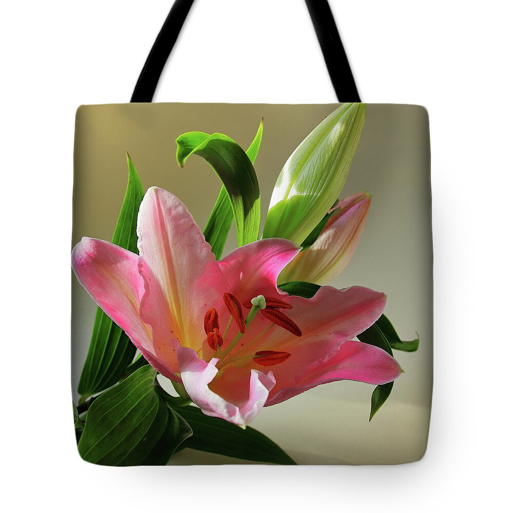 Lily Tote Bag featuring the photograph Pink Lily with Buds by Jeff Townsend