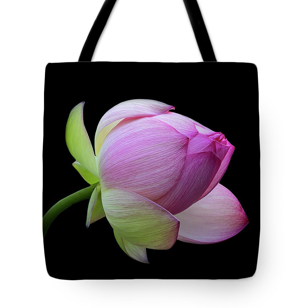 Pink Tote Bag featuring the photograph Pink Lotus Bud by Gary Geddes