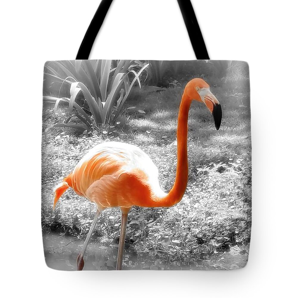 Bird Tote Bag featuring the photograph Pink Orange Flamingo Photo 210 by Lucie Dumas