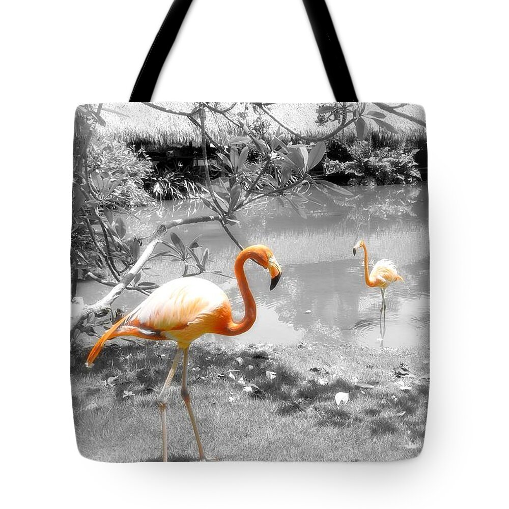 Bird Tote Bag featuring the photograph Pink Orange Flamingo Photo 212 by Lucie Dumas