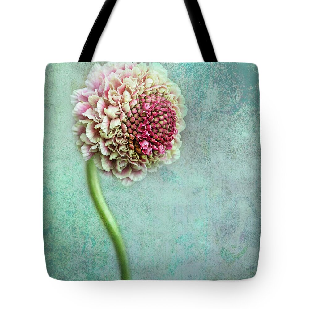 Flowers Tote Bag featuring the photograph Pink Pincushion by Shara Abel