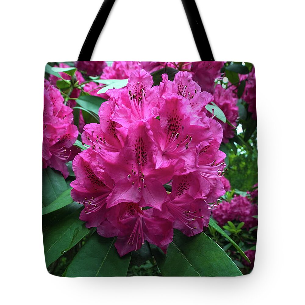 Alex Lyubar Tote Bag featuring the photograph Pink Rhododendron Dopey by Alex Lyubar