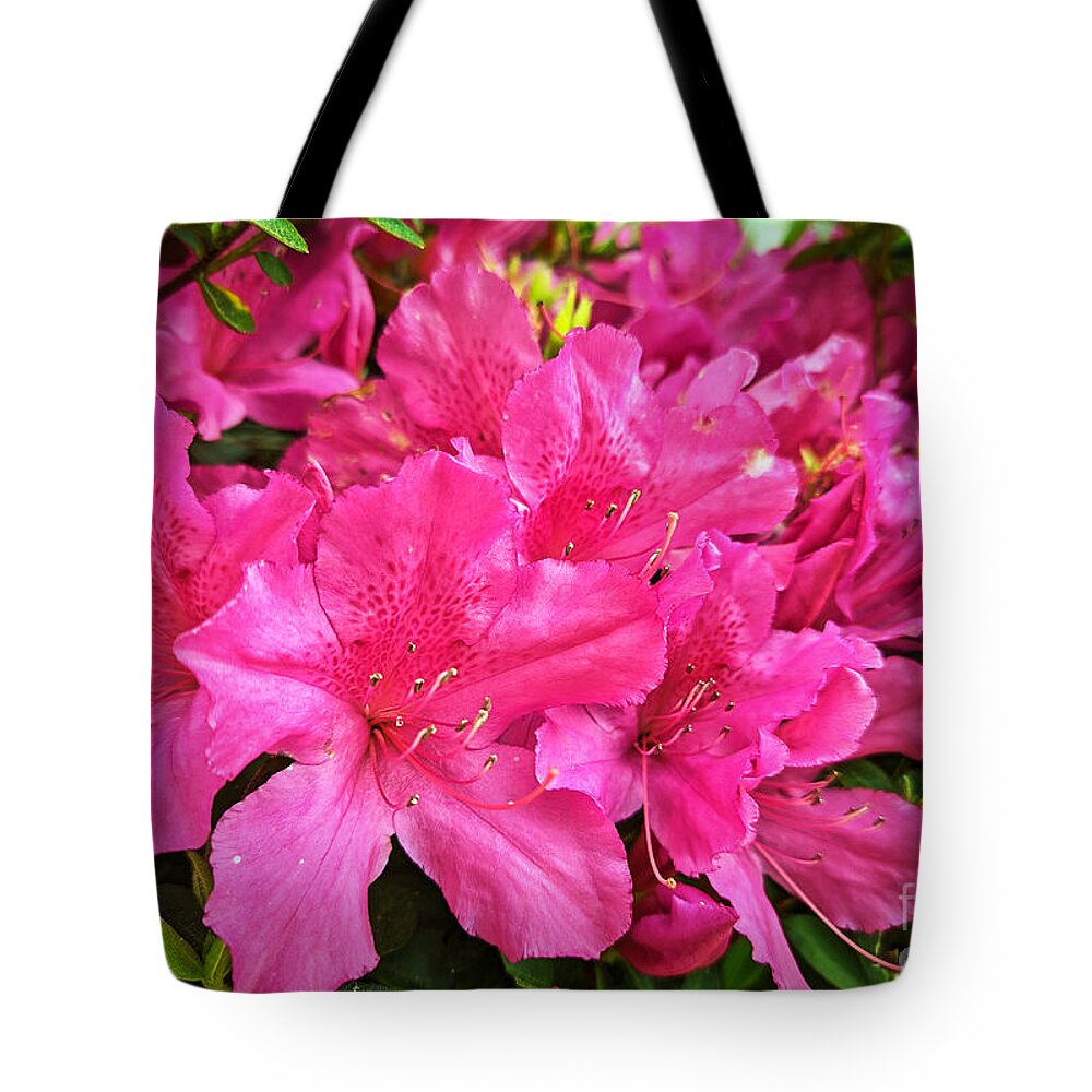 Azalea Tote Bag featuring the photograph Pink Salute by Robert Knight