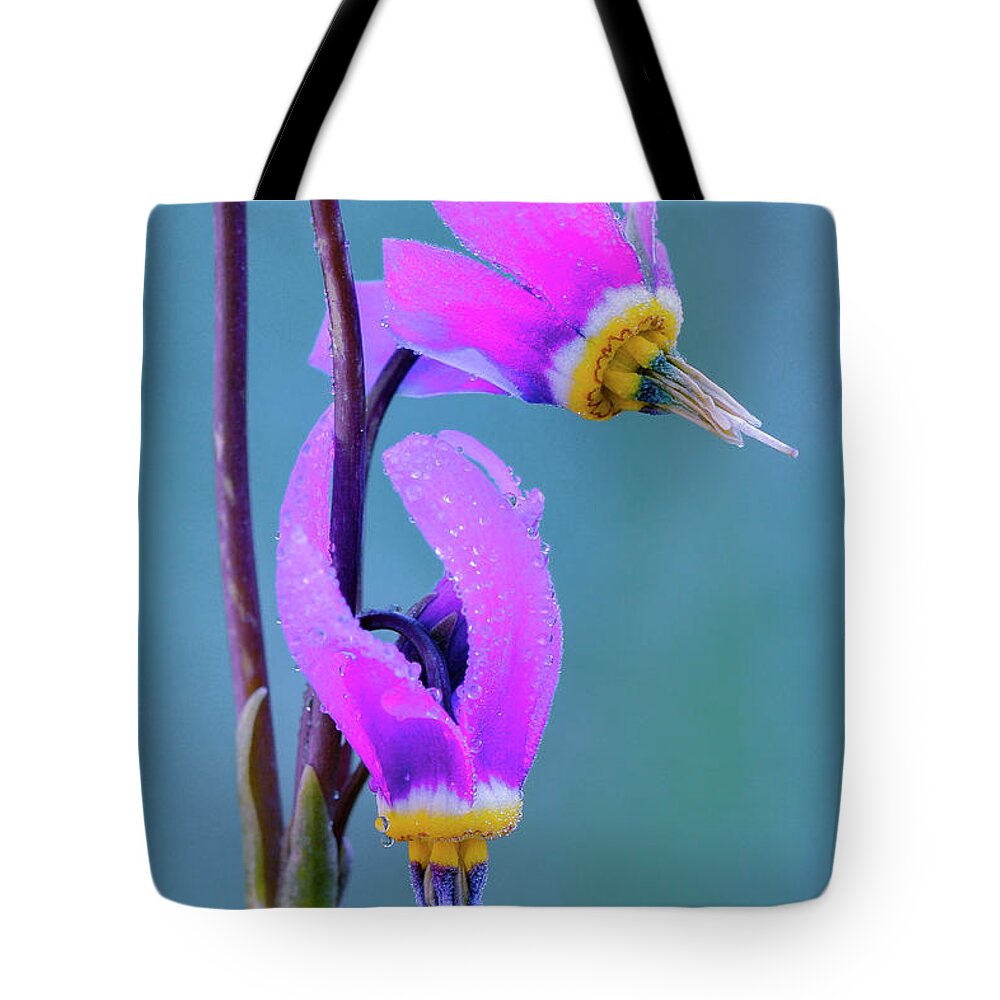 Alberta Tote Bag featuring the photograph Pink Shooting Star flowers by Michael Wheatley