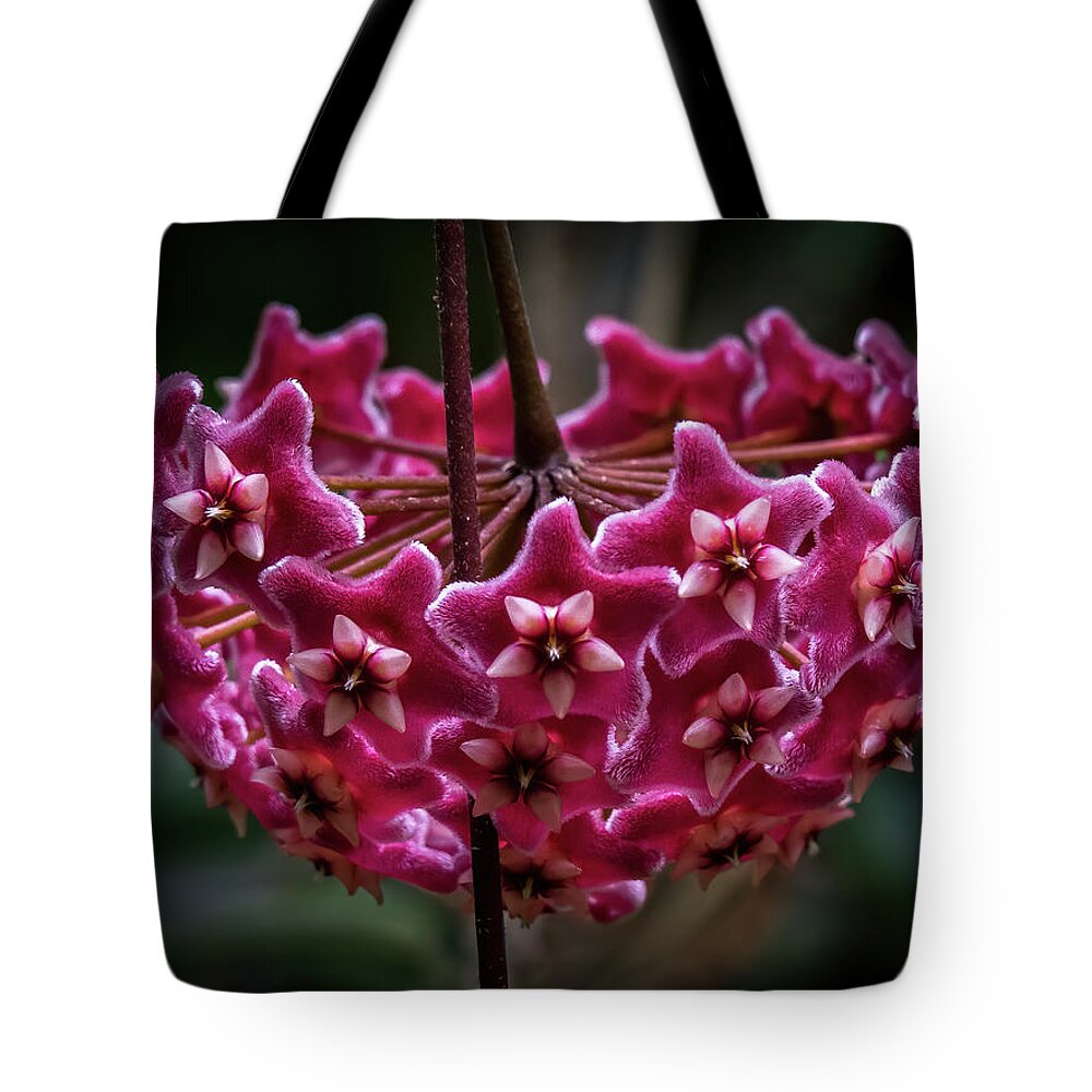 Pink Tote Bag featuring the photograph Pink Silver Porcelain Flower by Steven Sparks