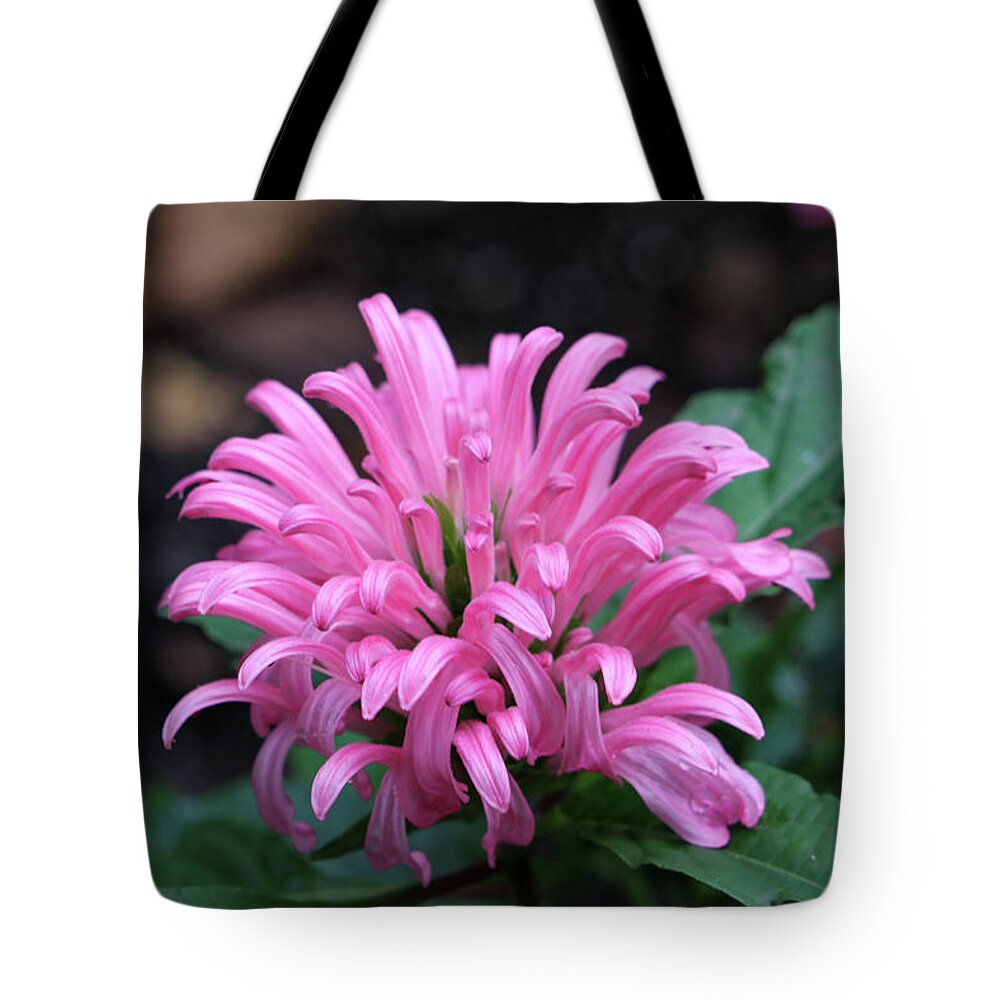 Flower Tote Bag featuring the photograph Pink Tropical Treasure by Mary Anne Delgado