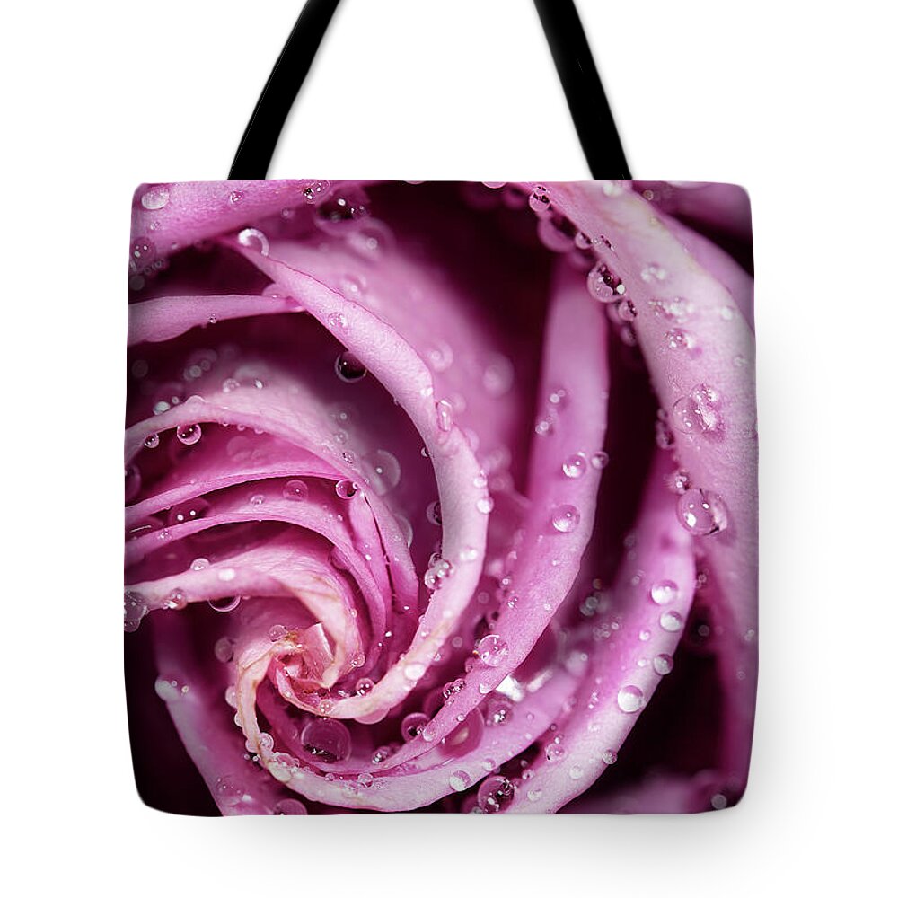 Rose Tote Bag featuring the photograph Pink Wet Rose by Jon Glaser