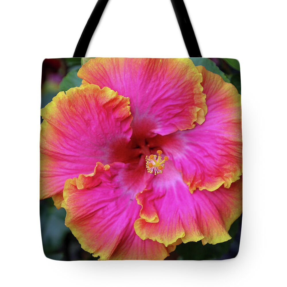Flowers Tote Bag featuring the photograph Pinksplosion by Tony Spencer