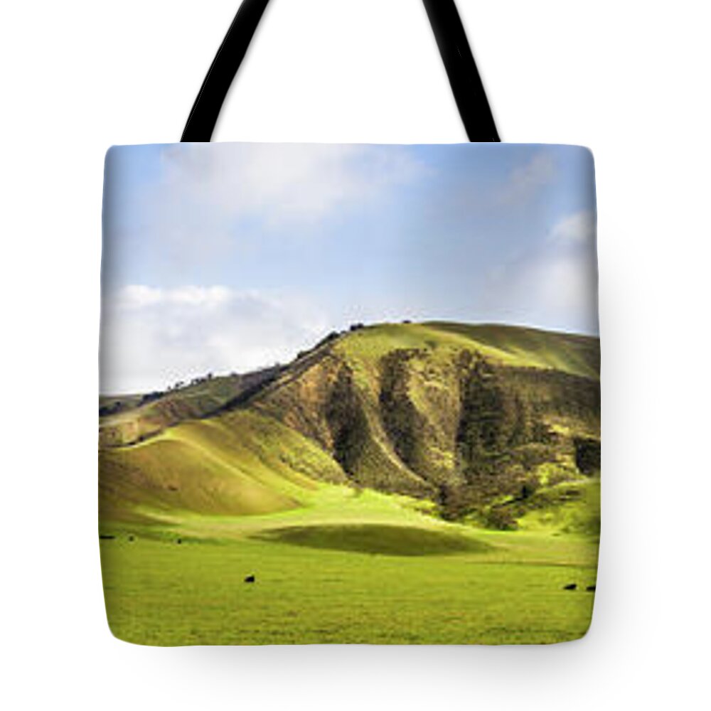 Pinnacles Tote Bag featuring the photograph Pinnacles National Park by Elvira Peretsman