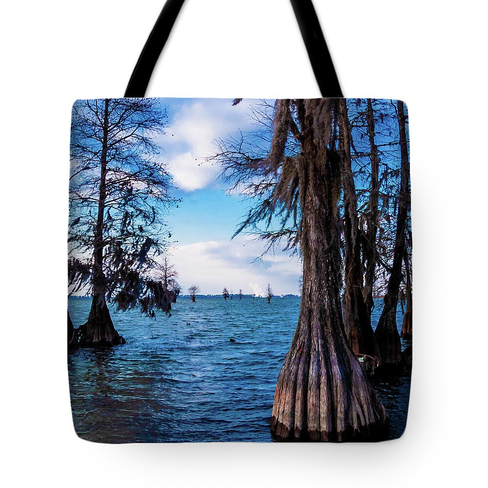 Blue Tote Bag featuring the photograph Pinopolis Point by Louis Dallara
