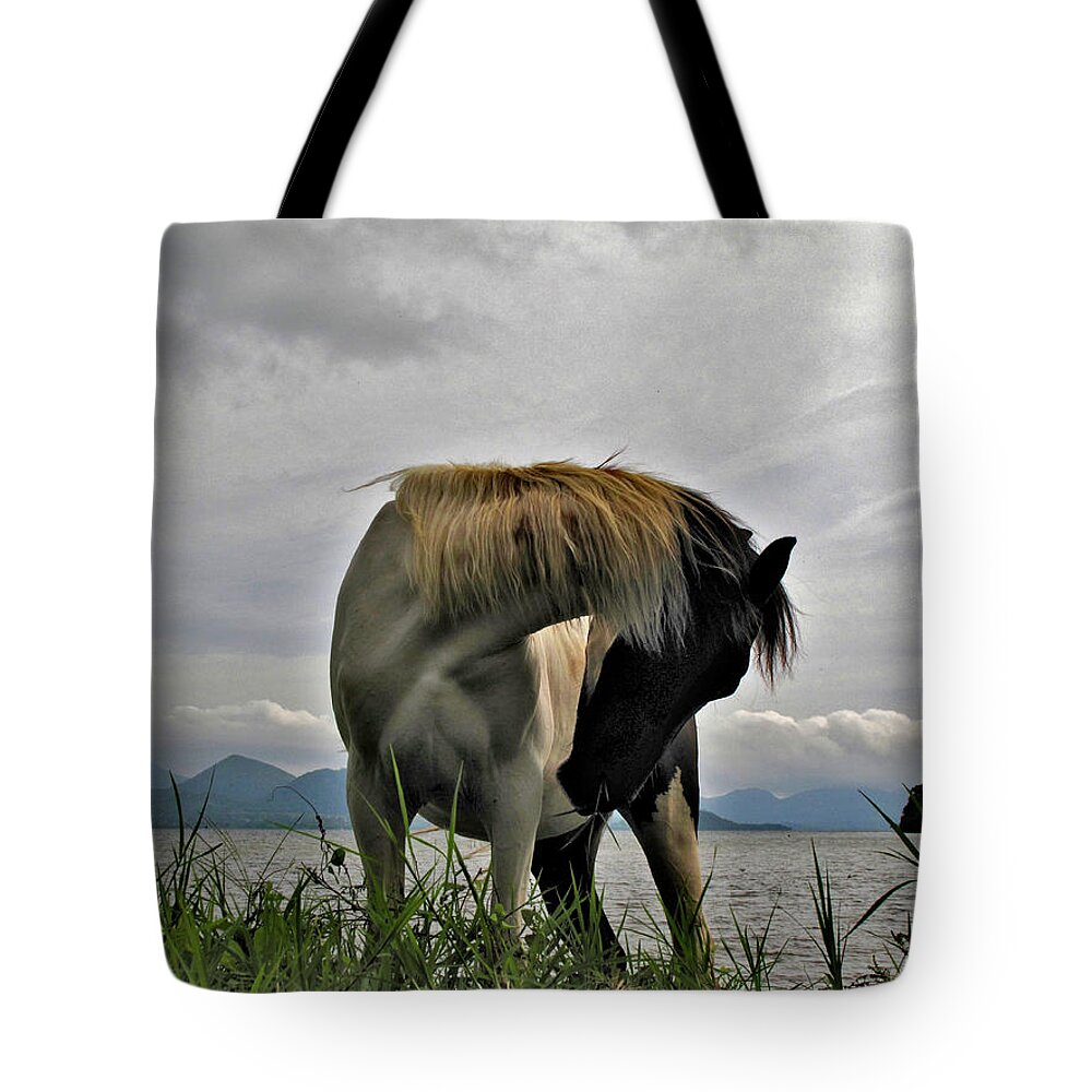 Horse Tote Bag featuring the photograph Pinto horse on shore of Lake Catemaco Veracruz Mexico by Lorena Cassady