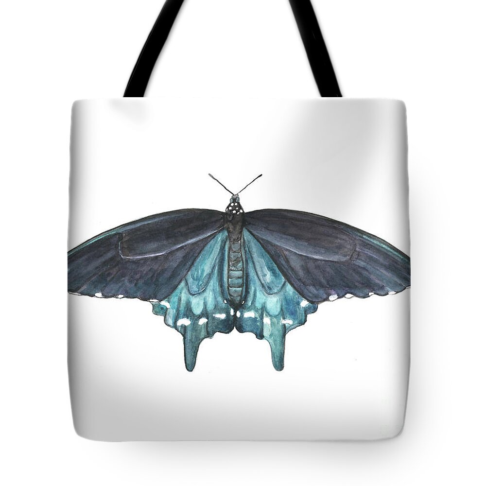 Butterfly Butterflies Florida American Pipevine Swallowtail Blue Navy Transformation Watercolor Tote Bag featuring the painting Pipevine Swallowtail Butterfly by Pamela Schwartz