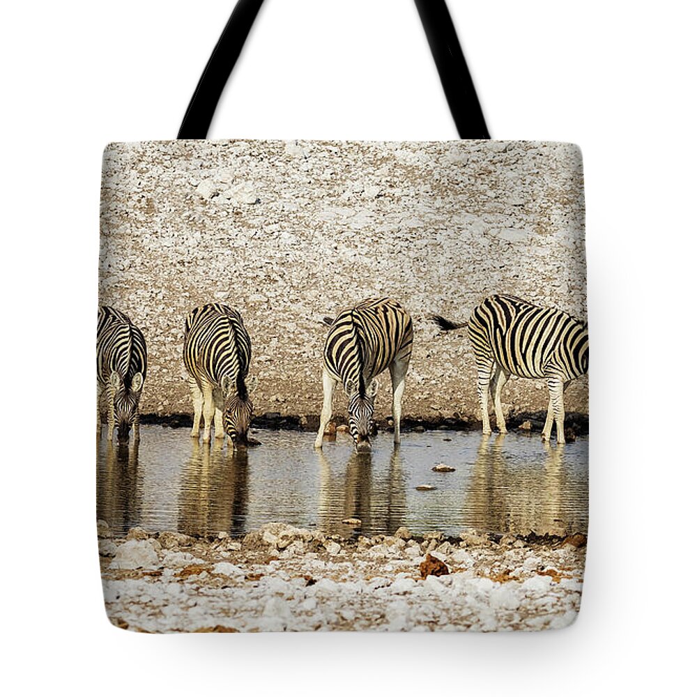 Zebra Tote Bag featuring the photograph Plains Zebras at the Waterhole by Belinda Greb