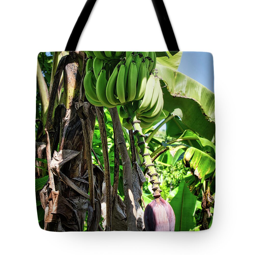 Plantain Tote Bag featuring the photograph Plantains by Portia Olaughlin