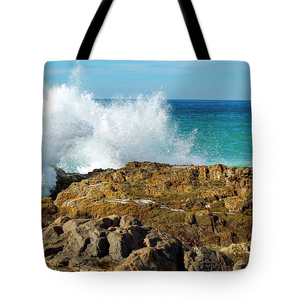 Playa Milagro Tote Bag featuring the photograph Playa Milagro, Los Cabos by William Scott Koenig