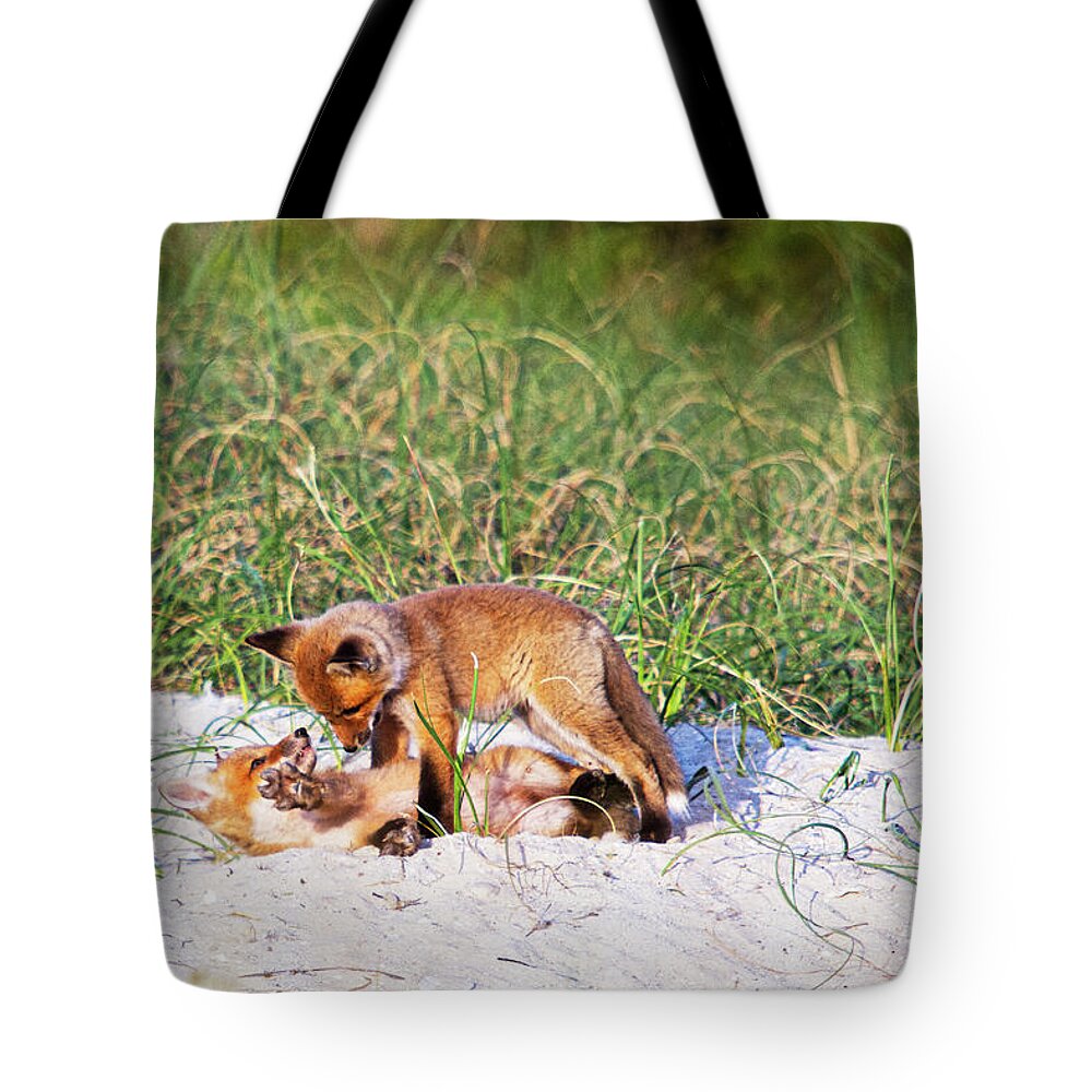Red Fox Tote Bag featuring the photograph Playful Red Foxes on the Outer Banks by Bob Decker