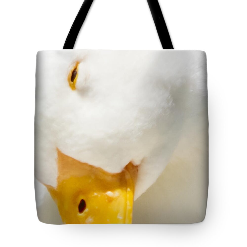 Duck Tote Bag featuring the photograph Playing Shy by Bonny Puckett