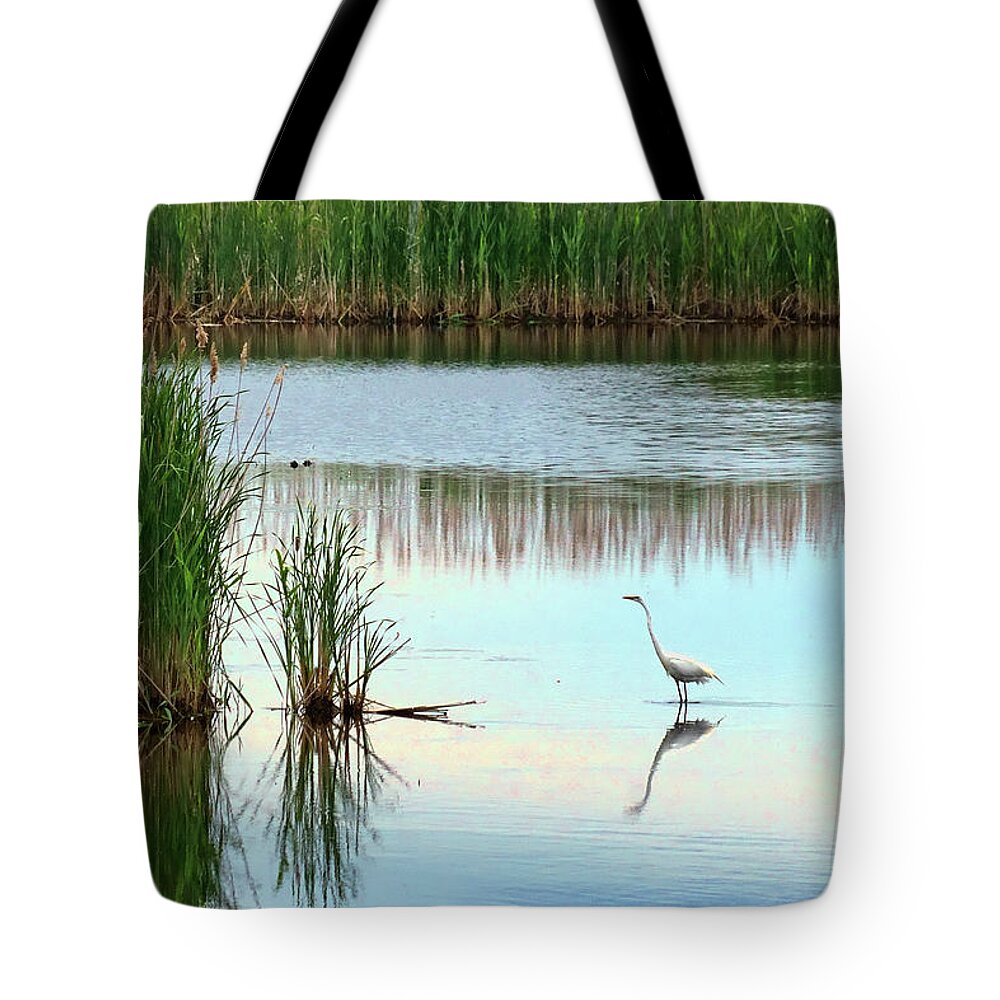 Plum Island Tote Bag featuring the photograph Plum Island Marsh - No 2 by Nikolyn McDonald
