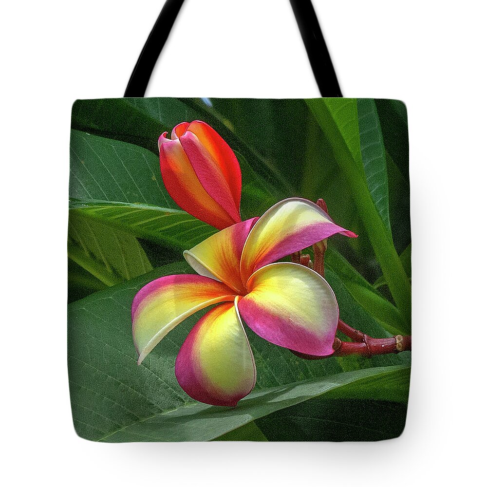 Scenic Tote Bag featuring the photograph Plumeria or Frangipani DTHB0109 by Gerry Gantt
