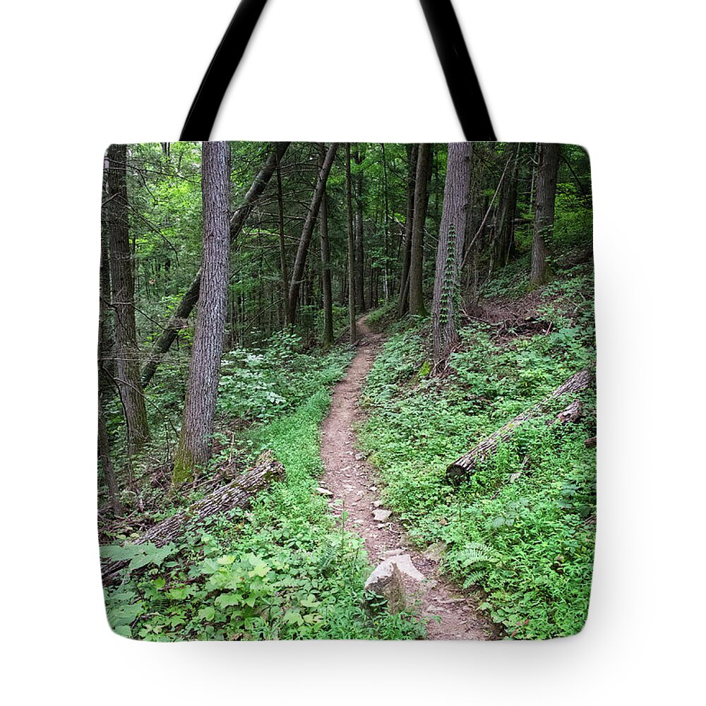 Obed Tote Bag featuring the photograph Point Trail At Obed 13 by Phil Perkins