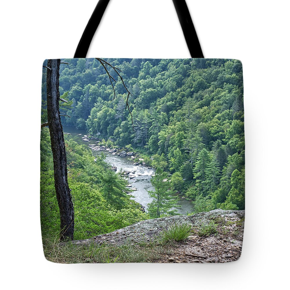 Obed Tote Bag featuring the photograph Point Trail At Obed 17 by Phil Perkins