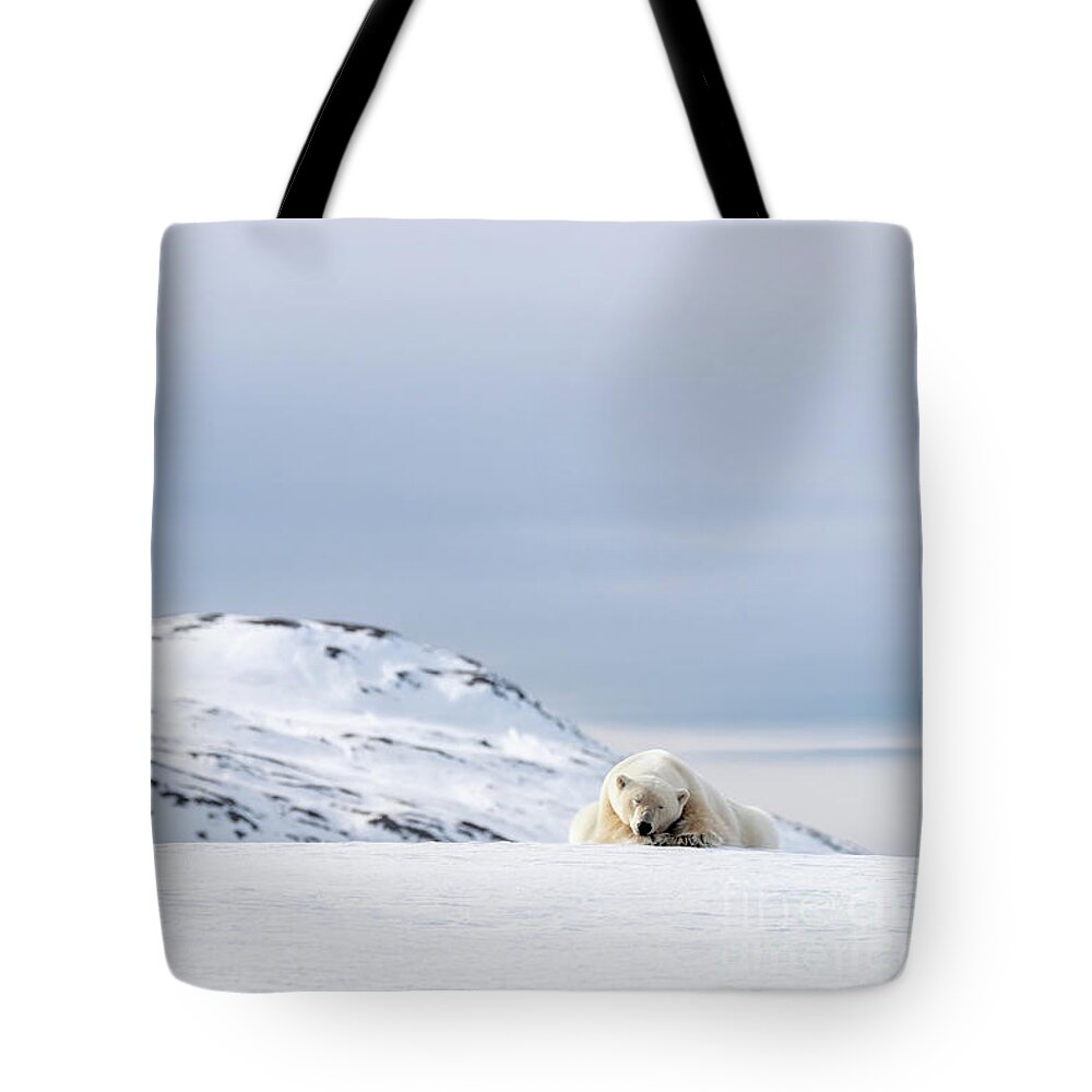 Polar Tote Bag featuring the photograph Polar bear resting on the snow in Svalbard by Jane Rix