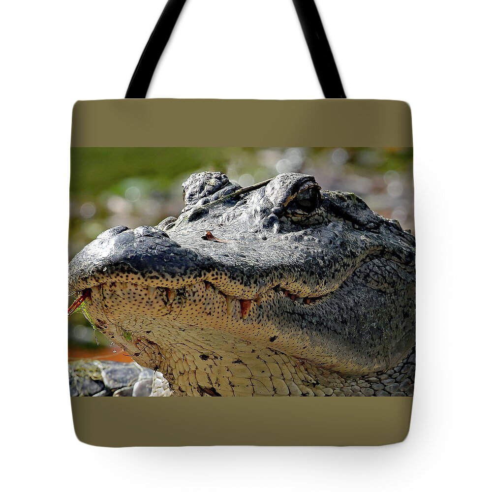 Georgia Tote Bag featuring the photograph Polka Dotted Gator by Jennifer Robin