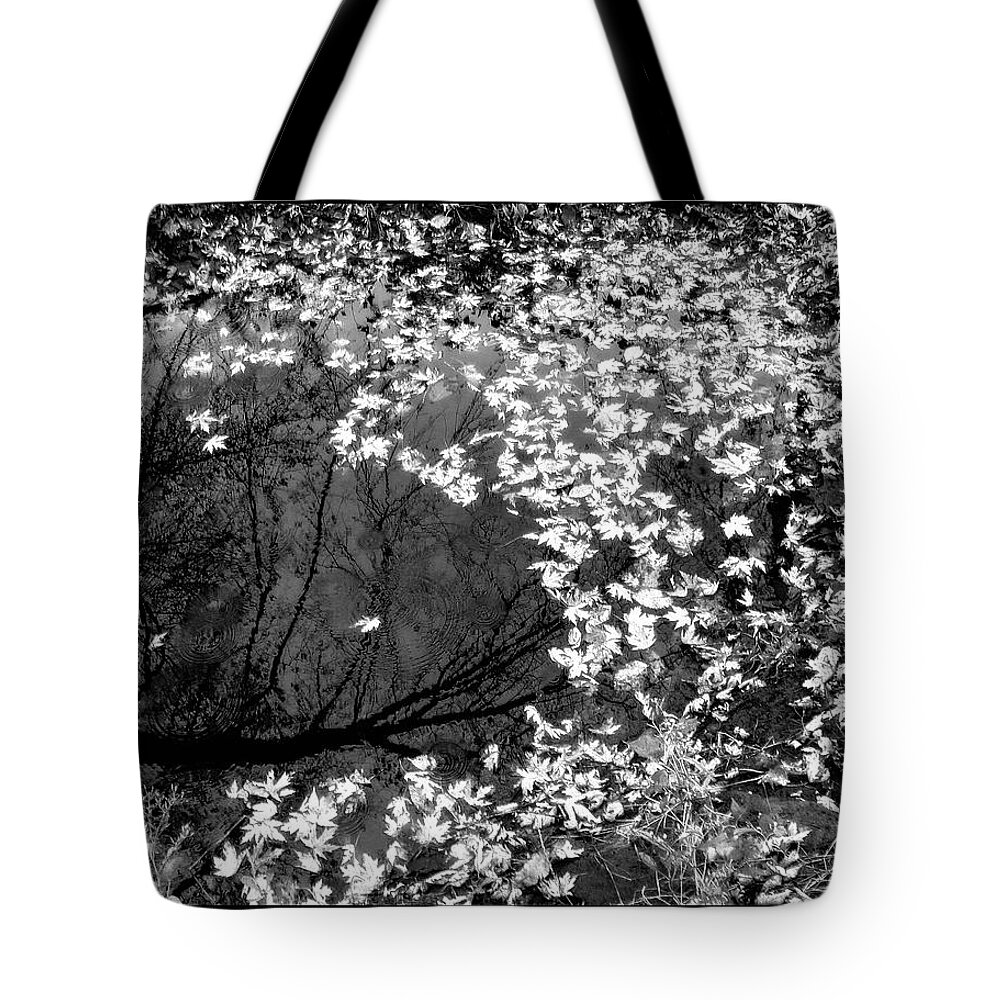 Pollock Tote Bag featuring the photograph Pollack in Infrared by Wayne King