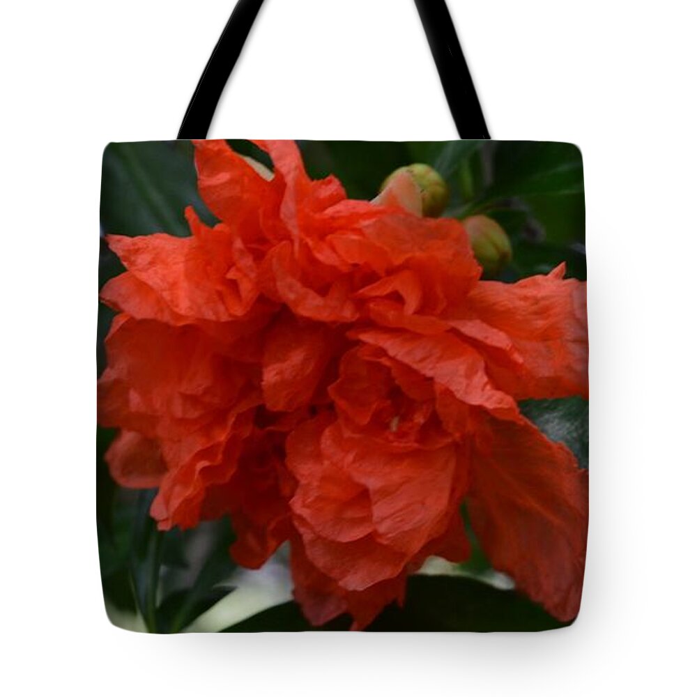 Pomegranate Flower Tote Bag featuring the photograph Pomegranate Flower by Expressions By Stephanie