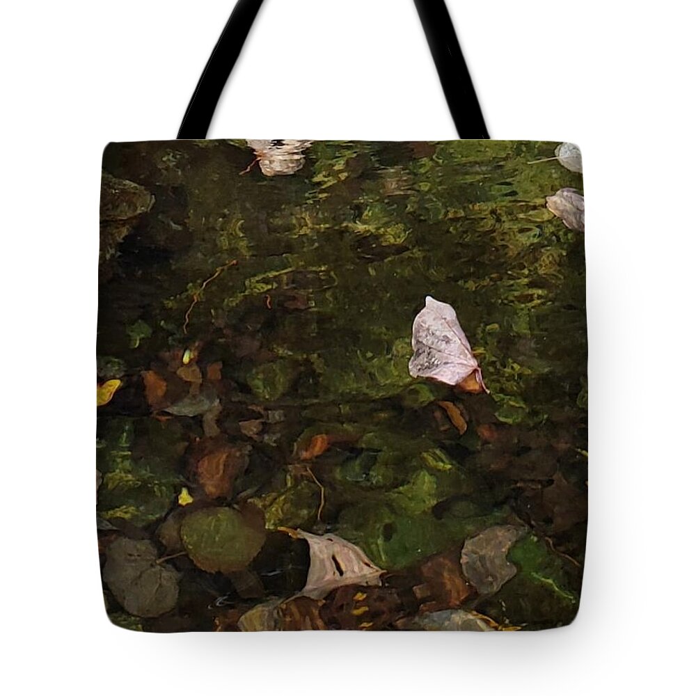 Pond Tote Bag featuring the photograph Pond in Autumn by Anita Adams