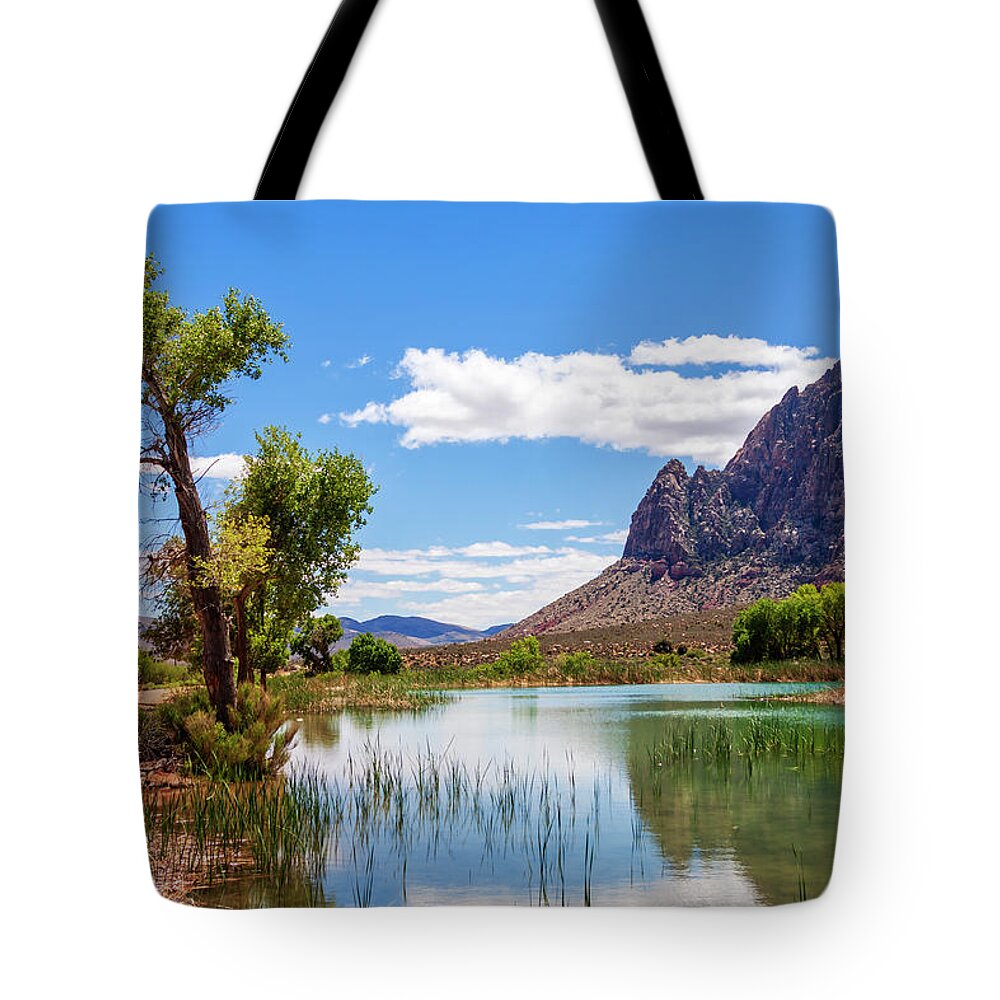 Pond Reflections Tote Bag featuring the photograph Pond reflections in Mohave Desert, Nevada by Tatiana Travelways
