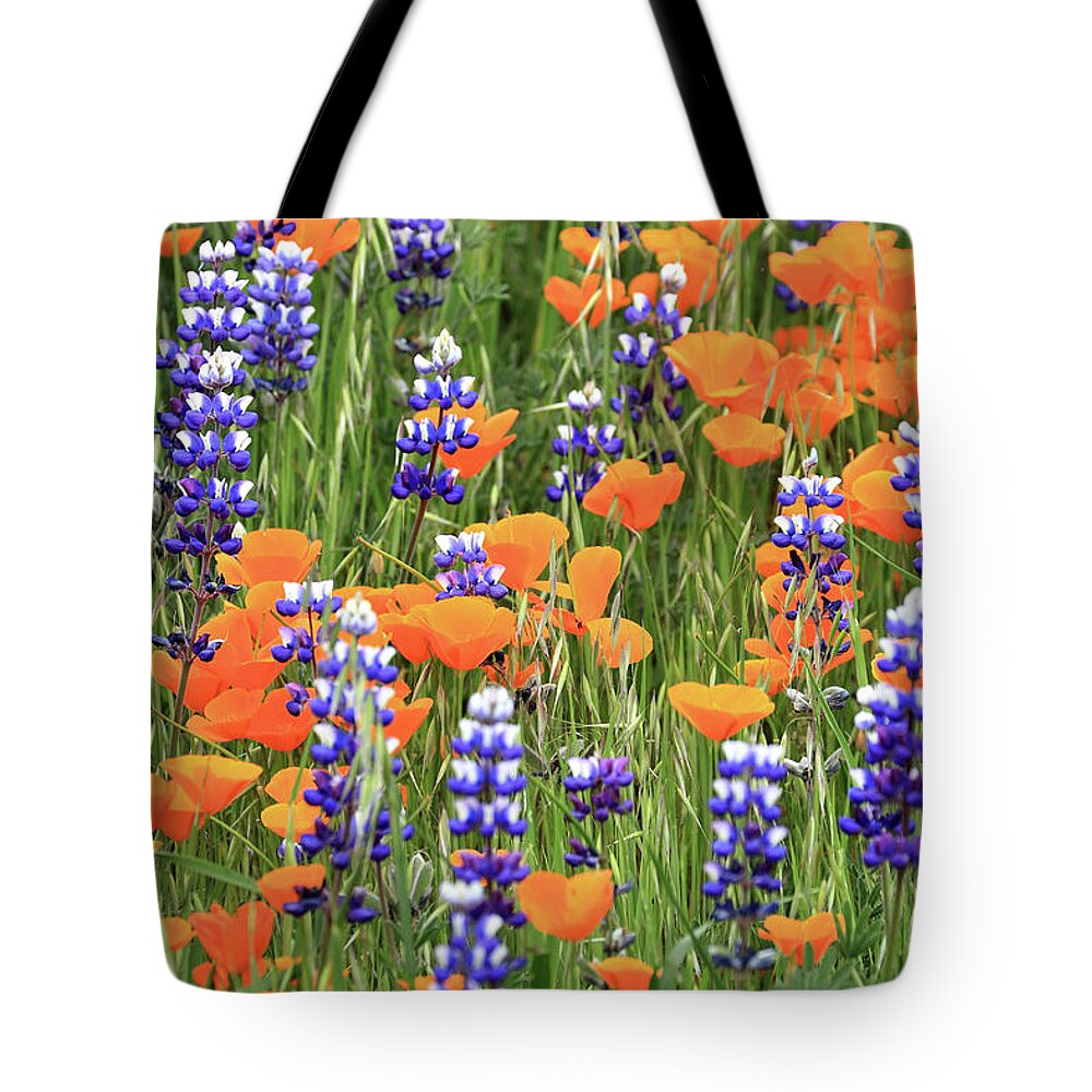 Poppy Tote Bag featuring the photograph Poppies and Lupines by Vivian Krug Cotton