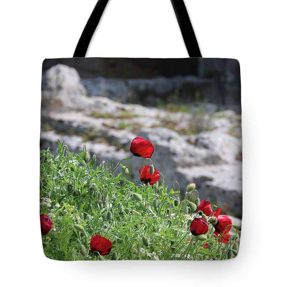 Poppies Tote Bag featuring the photograph Poppies and Ruins by M Kathleen Warren