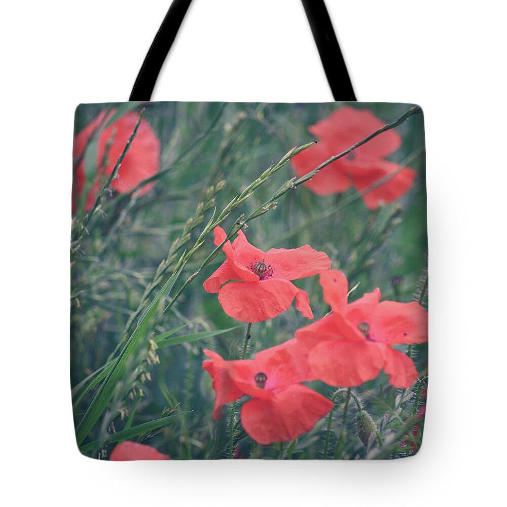 Poppies Tote Bag featuring the photograph Poppies in a field by Andrew Lalchan
