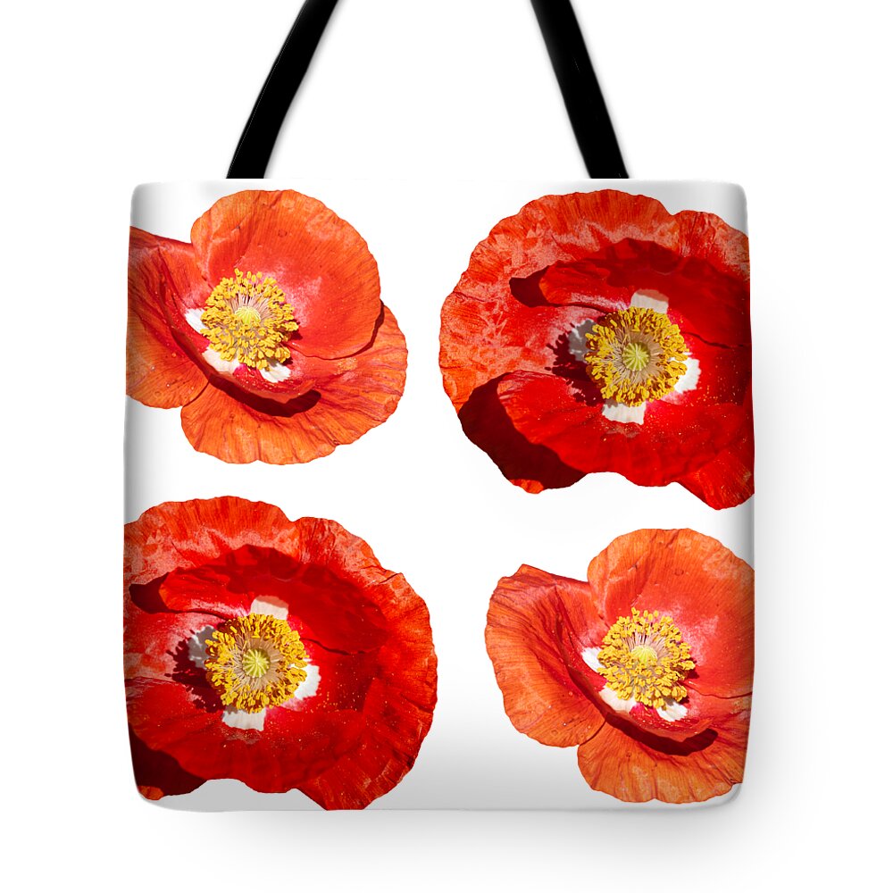 Ornamental Poppy Tote Bag featuring the photograph Poppy Design 2021-1 by Thomas Young