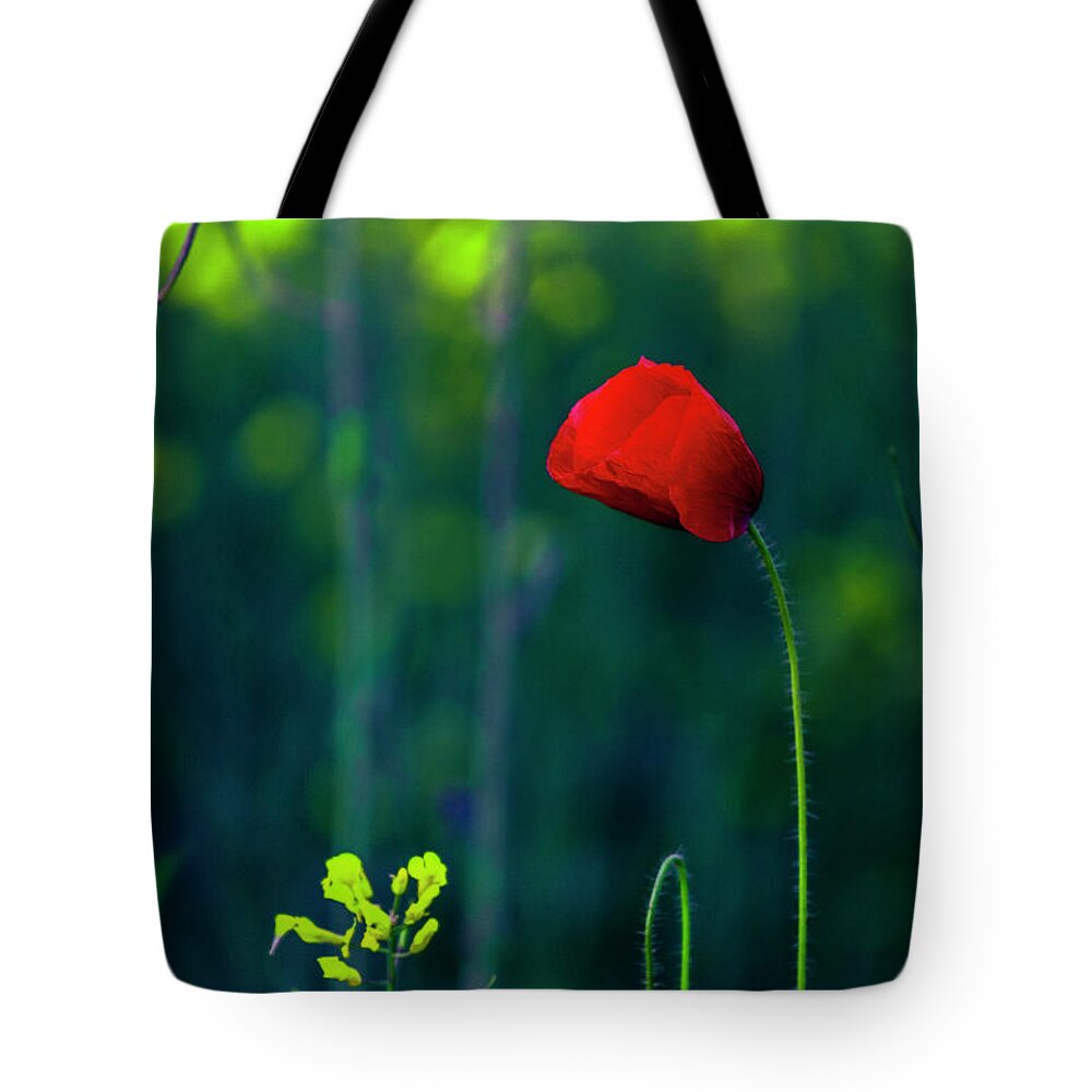 Bulgaria Tote Bag featuring the photograph Poppy by Evgeni Dinev