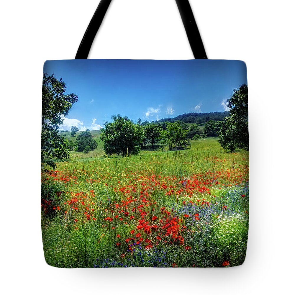 Summer Poppy Meadow Tote Bag featuring the photograph Poppy meadow by Lilia S