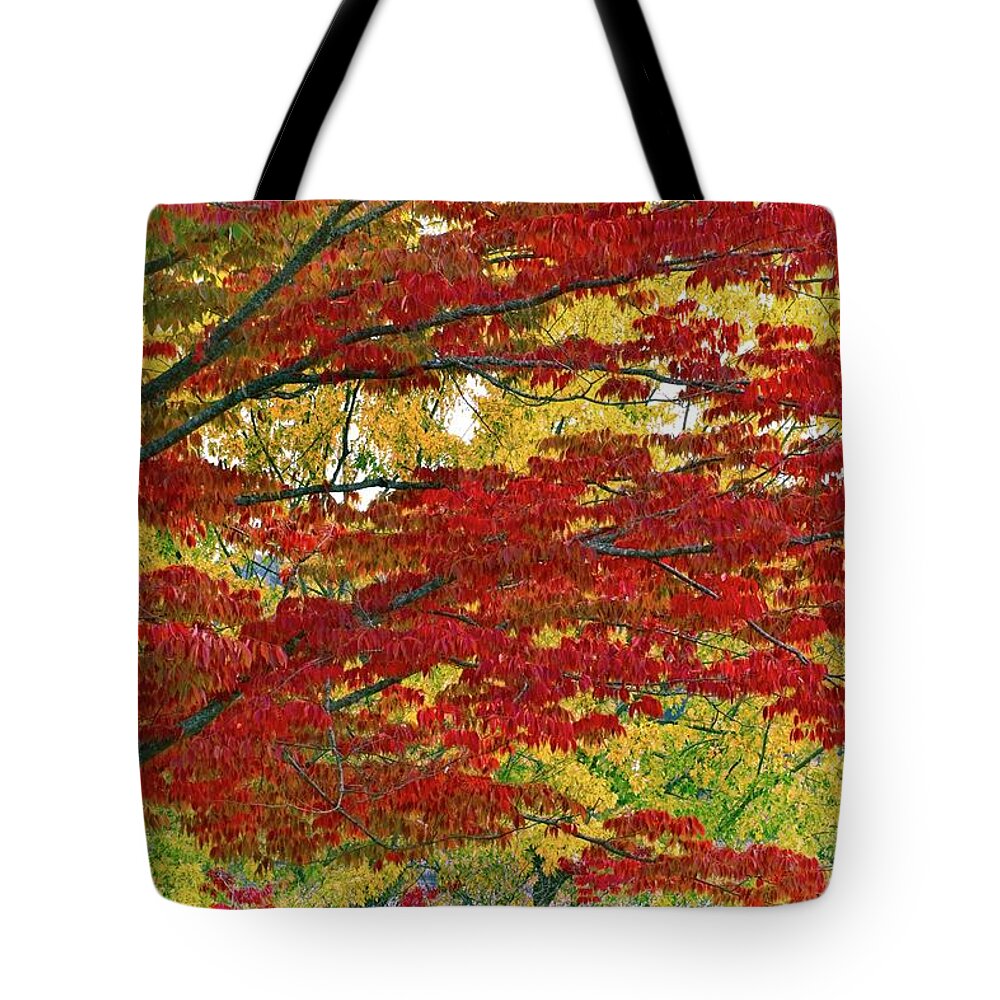 Abstract Tote Bag featuring the photograph Port Gamble Fall Colors by David Desautel