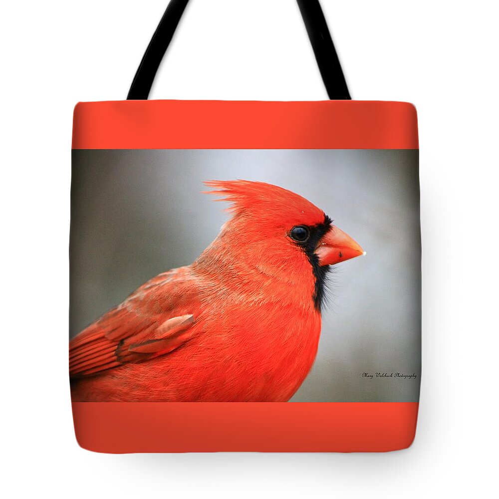 Birds Wildlife Nature Tote Bag featuring the photograph Portrait of a Cardinal by Mary Walchuck