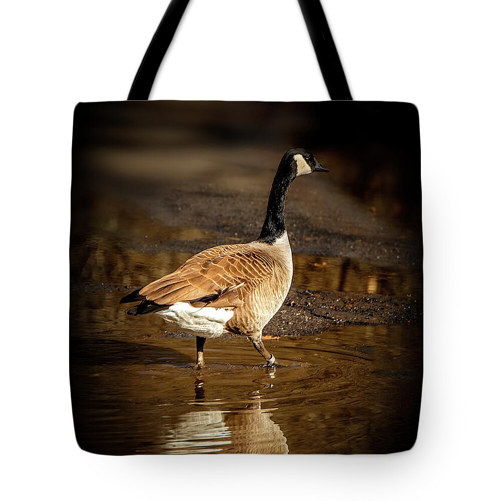 Goose Tote Bag featuring the photograph Portrait of a Goose by Shelia Hunt