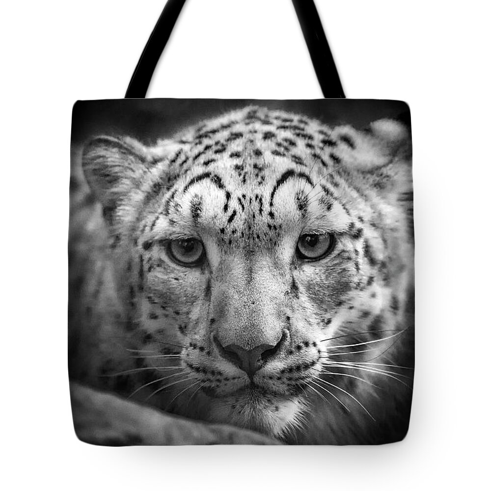 Snow Leopard Tote Bag featuring the photograph Portrait of a Snow Leopard - b/w by Chris Boulton