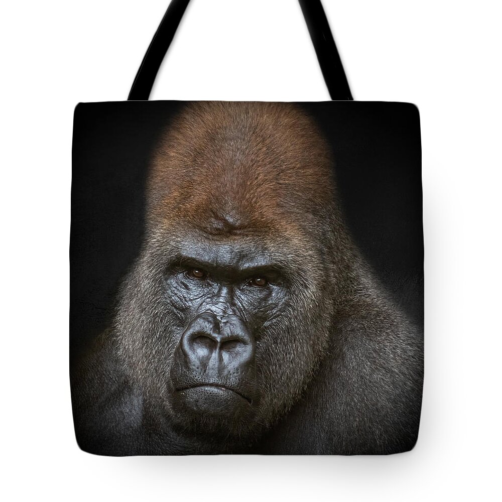 Gorilla Tote Bag featuring the photograph Portrait of a Western Lowland Gorilla by Constance Puttkemery