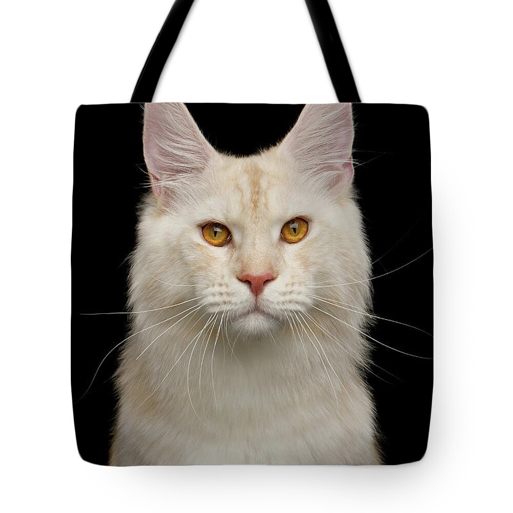 Cat Tote Bag featuring the photograph Portrait of Huge Maine Coon by Sergey Taran