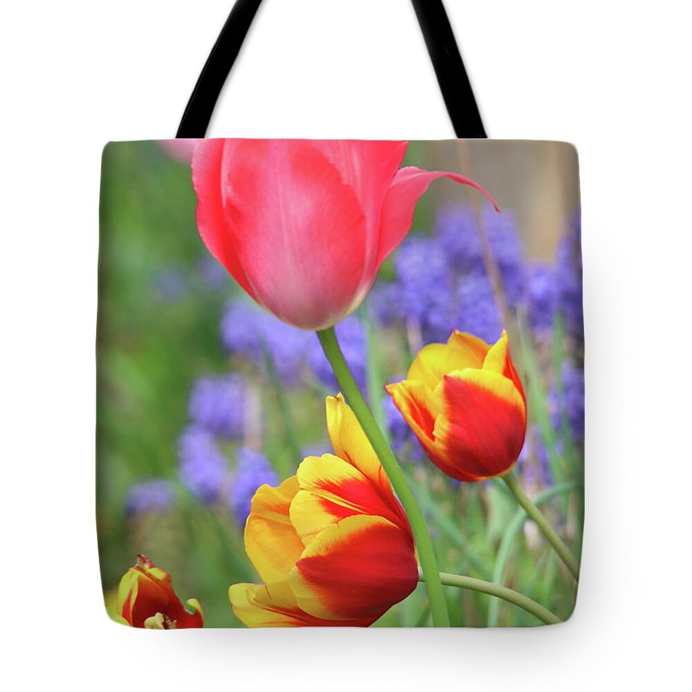 Flowers Tote Bag featuring the photograph Portrait of Lovely Tulips by Trina Ansel